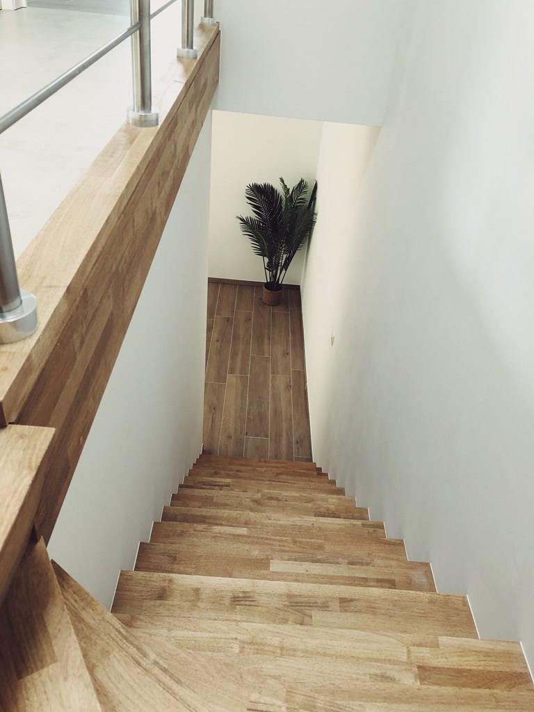 Voir toutes les images de Botanique et plus