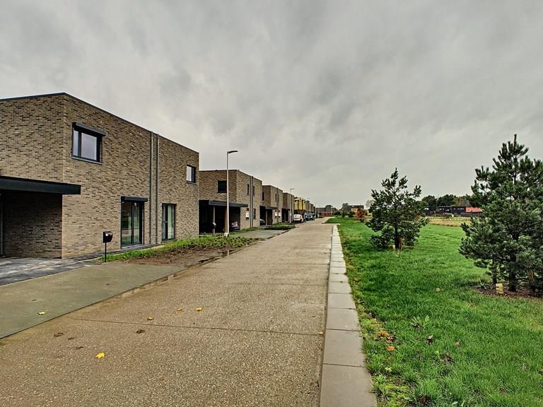 Voir toutes les images de Kattestraat et plus