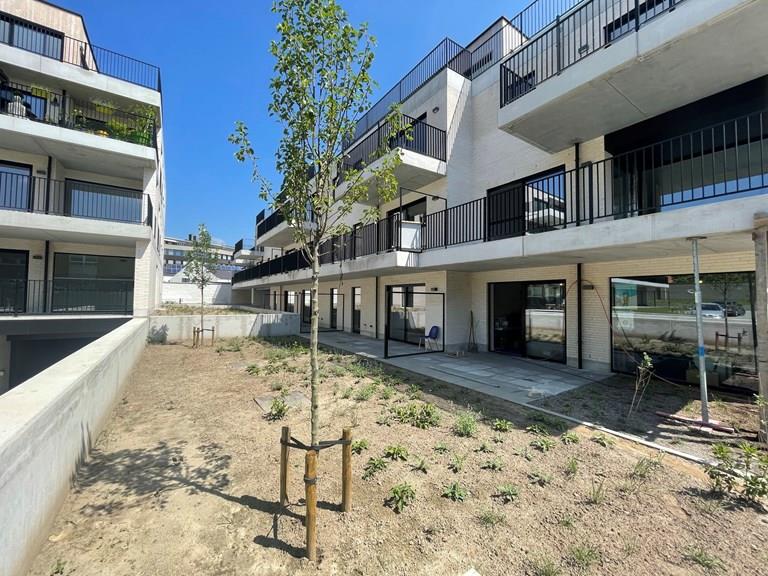 Voir toutes les images de Project Hoppe et plus