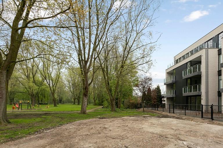 Voir toutes les images de Park den Blijk et plus